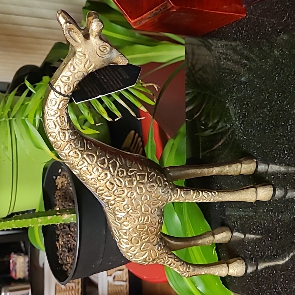 Metal Giraffe - Picture 4 of 13